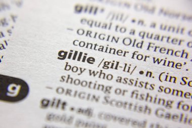 Sözlükte Gillie sözcüğü veya tümceciği.