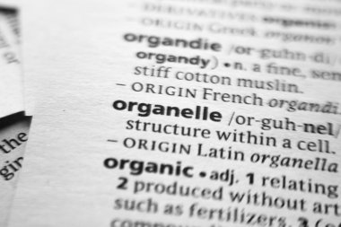 Sözlükte Organelle sözcüğü veya tümceciği.