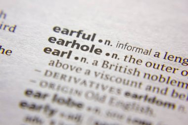 Sözlükteki sözcük veya tümcecik Earhole.
