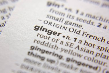 Sözlükte Kelime veya ifade Ginger.