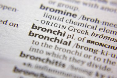 Sözlükte Bronchi sözcüğü veya deyimi.