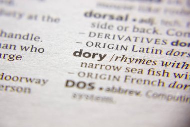 Sözlükteki sözcük veya tümcecik Dory.