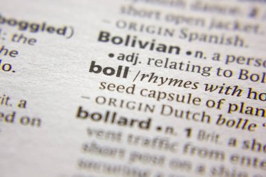 Sözlükteki sözcük veya ifade Boll.