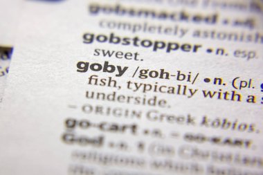 Sözlükteki sözcük veya tümcecik Goby.