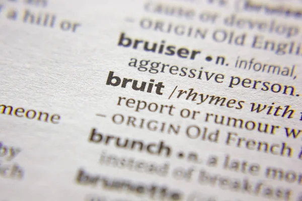 Kelime veya cümle bir sözlükte bruit.