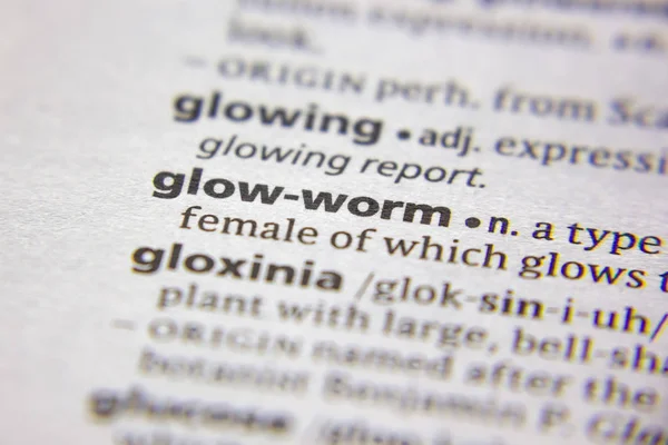Sözlükteki sözcük veya tümcecik Glow-worm.