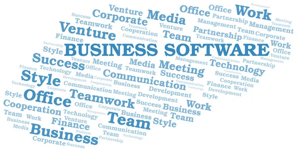 Business Software word cloud. Collage made with text only. — Stock Vector