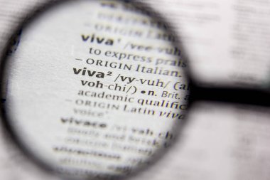 Kelime veya cümle Viva bir sözlük.