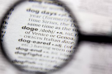 Kelime veya cümle Doge bir sözlük.