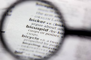 Kelime veya cümle bicuspid bir sözlük.