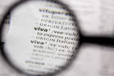 Kelime veya cümle Viva bir sözlük.