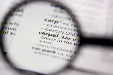 Kelime veya cümle Carpal bir sözlük.