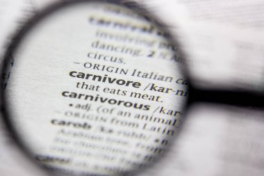 Kelime veya ifade Carnivore bir sözlük.