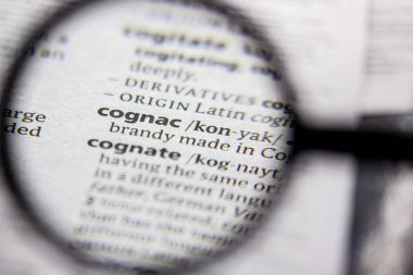 Kelime veya cümle bir sözlükte konyak.