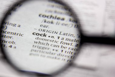 Kelime veya ifade horoz bir sözlük.