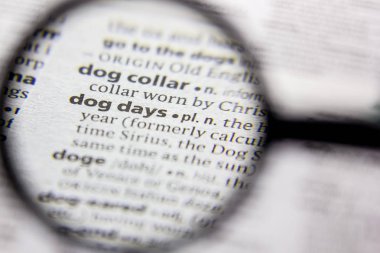 Kelime veya cümle bir sözlükte köpek gün.