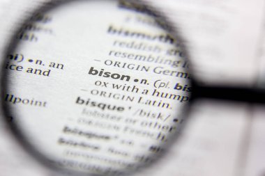 Kelime veya cümle Bison bir sözlük.