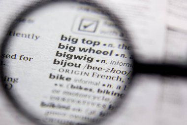 Kelime veya cümle Bigwig bir sözlük.