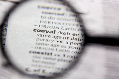 Sözlükte Word veya tümcecik COEVAL.