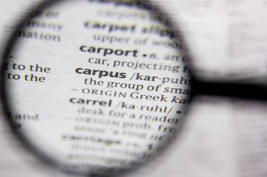 Kelime veya cümle Carpus bir sözlük.