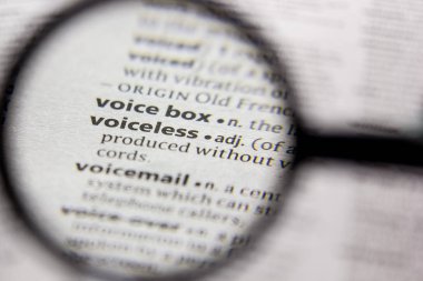 Kelime veya cümle sesli bir sözlükte.