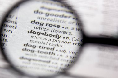 Kelime veya ifade Dogsbody bir sözlük.