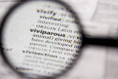 Kelime veya cümle Viviparous bir sözlük.