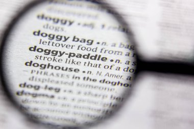 Kelime veya cümle köpek-Paddle bir sözlük.