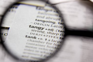 Kelime veya ifade Tangy bir sözlük.