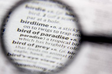 Kelime veya cümle cennet Bird bir sözlük.