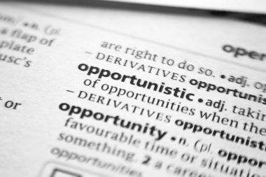 Sözlükte kelime veya cümle fırsatçı.