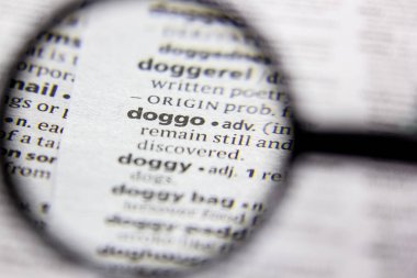 Kelime veya ifade Doggo bir sözlük.