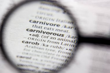 Kelime veya ifade bir sözlükte carnivorous.