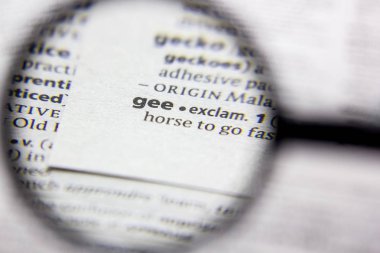 Kelime veya ifade Gee bir sözlük.