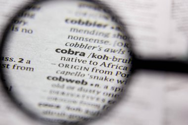 Kelime veya cümle Cobra bir sözlük.