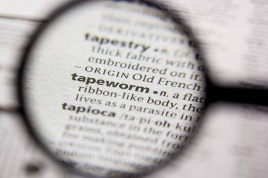 Sözlük içinde kelime veya cümle Tapeworm.