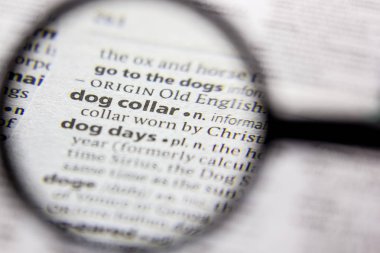 Kelime veya cümle bir sözlükte köpek yaka.