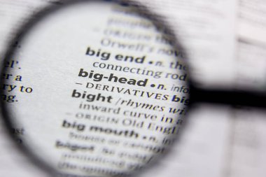 Kelime veya cümle büyük kafa bir sözlük.