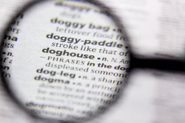Kelime veya cümle Doghouse bir sözlük.