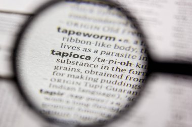 Sözlükte kelime veya cümle Tapioca.