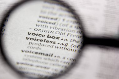 Sözlükte kelime veya cümle sesi kutusu.