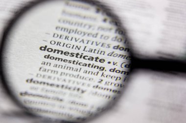 Kelime veya cümle bir sözlükte Domesticate.