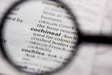 Kelime veya cümle bir sözlükte Cochineal.