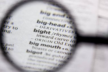 Kelime veya cümle Bight bir sözlük.