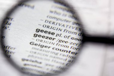 Kelime veya cümle Geese bir sözlük.