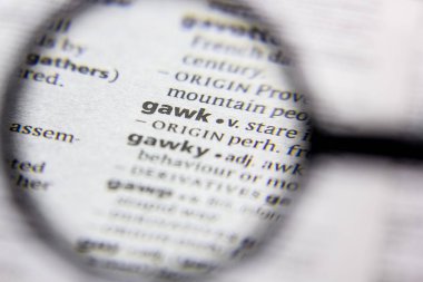 Kelime veya cümle gawk bir sözlük.