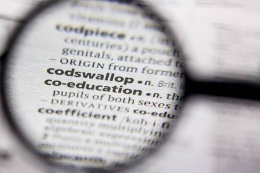 Kelime veya cümle Codswallop bir sözlük.