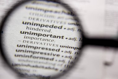 Sözcük veya tümcecik bir sözlükte önemli değil.