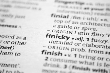 Kelime veya ifade finicky bir sözlük.