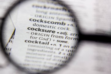 Kelime veya cümle Cocksure bir sözlük.